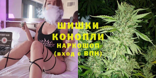 соль ск Бородино