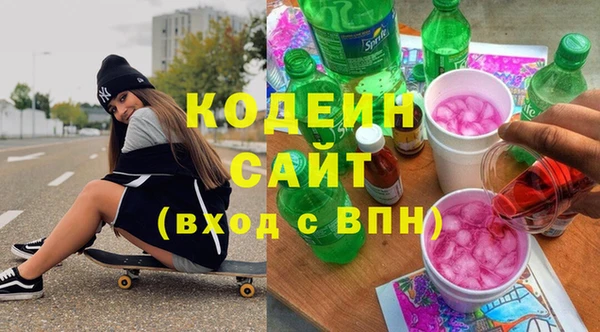 индика Бронницы