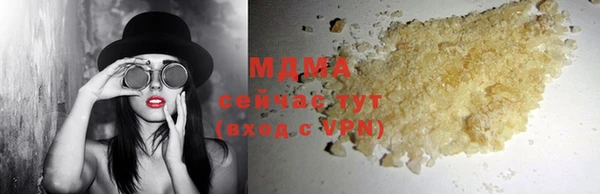 индика Бронницы