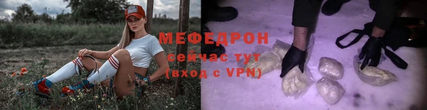 индика Бронницы