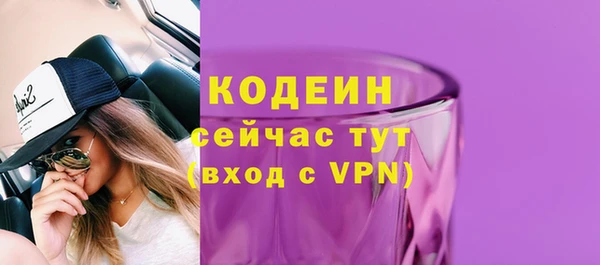соль ск Бородино