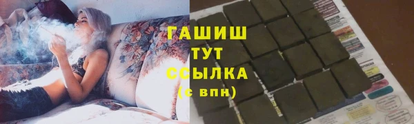 индика Бронницы