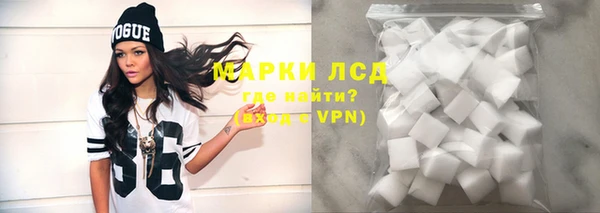 индика Бронницы