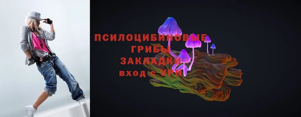 соль ск Бородино
