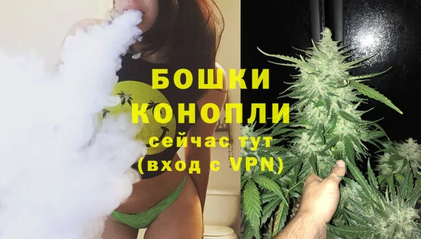 соль ск Бородино