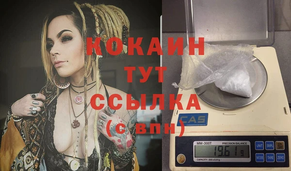дживик Данков