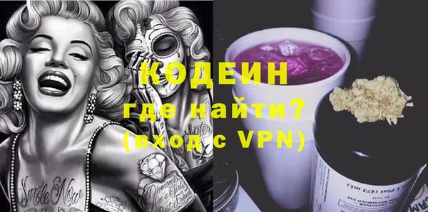индика Бронницы
