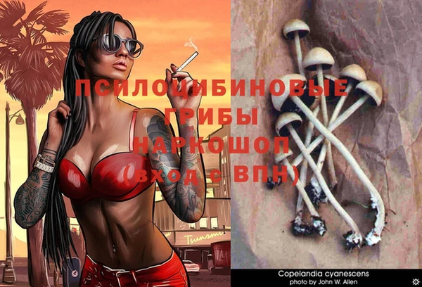 индика Бронницы