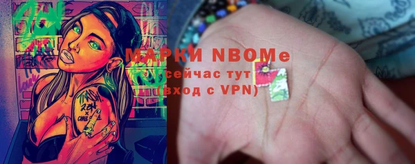 индика Бронницы