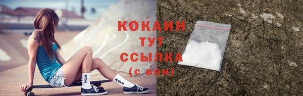 соль ск Бородино