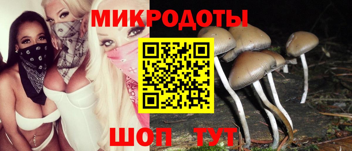 Псилоцибиновые грибы MAGIC MUSHROOMS Зима