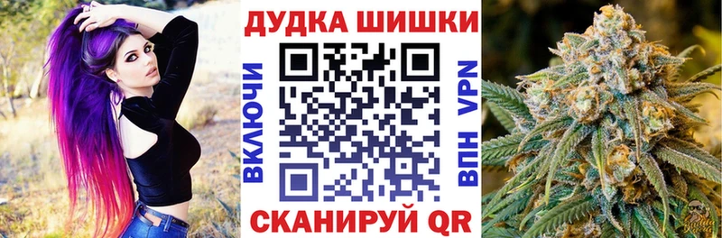 где найти Зима Марихуана планчик